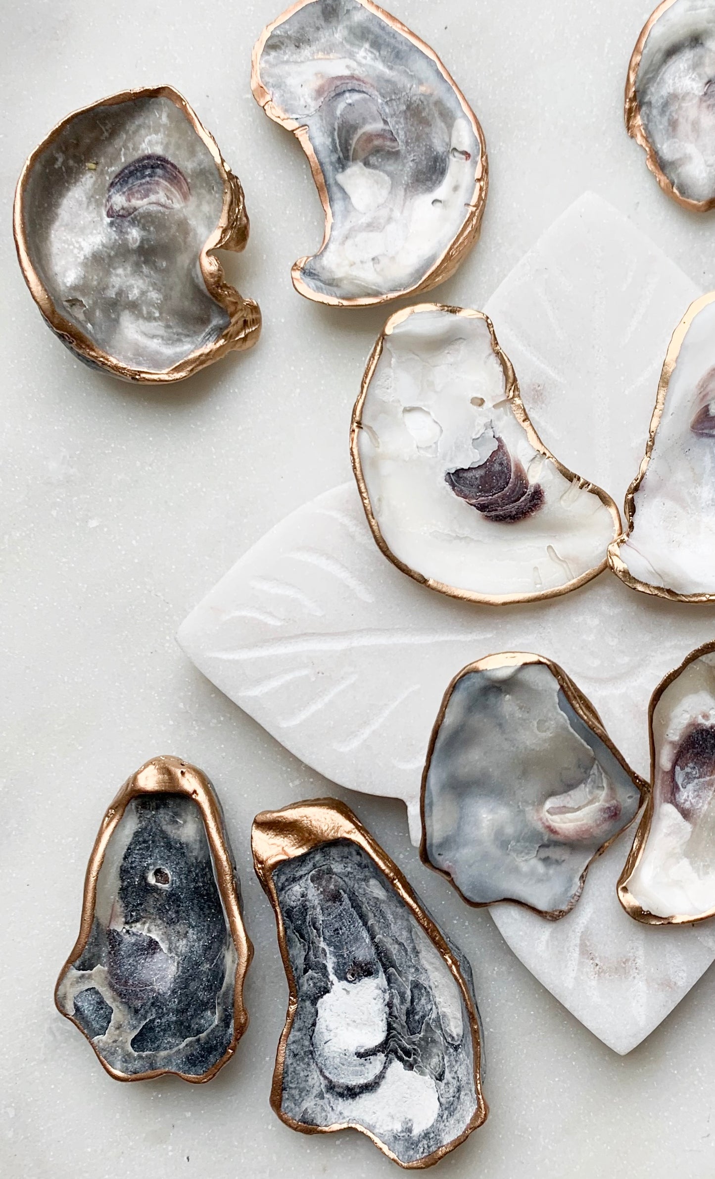 Black oyster stud earrings