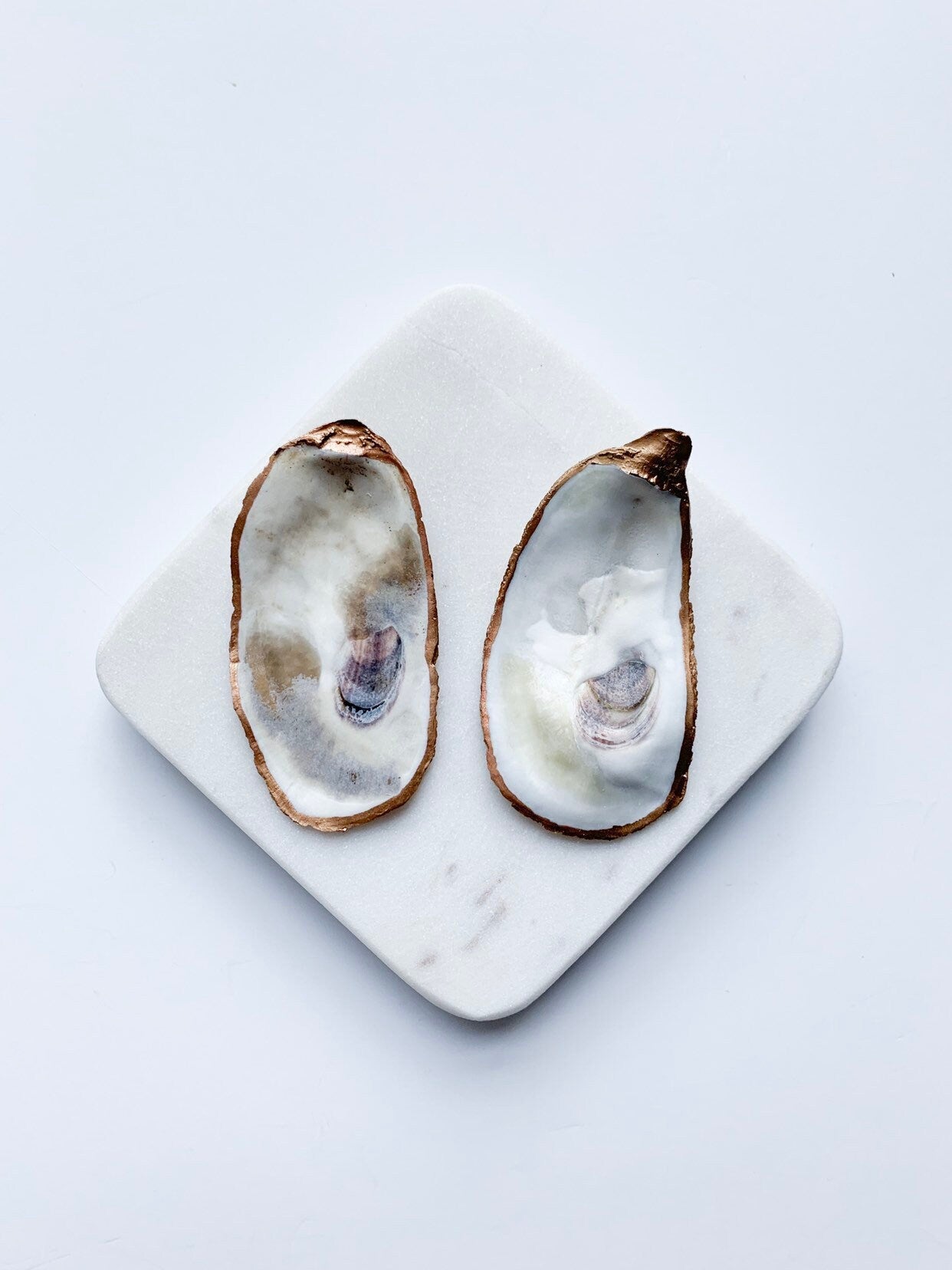 Large oyster shell earrings