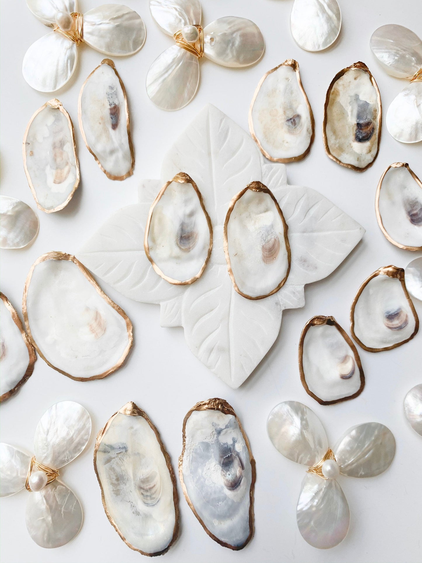 Large oyster shell earrings